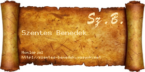 Szentes Benedek névjegykártya